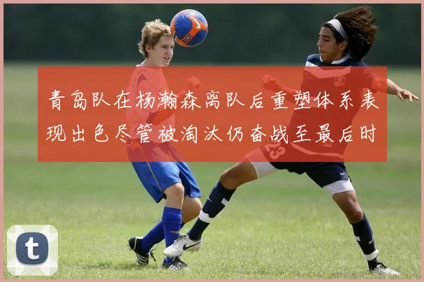 青岛队在杨瀚森离队后重塑体系表现出色尽管被淘汰仍奋战至最后时刻