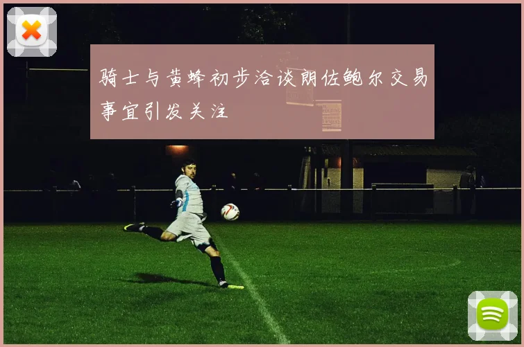 骑士与黄蜂初步洽谈朗佐鲍尔交易事宜引发关注