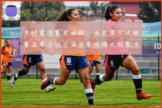 多特蒙德赛季回顾：历史第十次联赛亚军主场全满座展现强大凝聚力