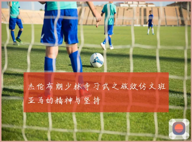 杰伦布朗少林寺习武之旅效仿文班亚马的精神与坚持